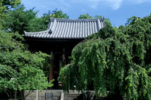 大本山増上寺鐘楼堂（東京都港区）